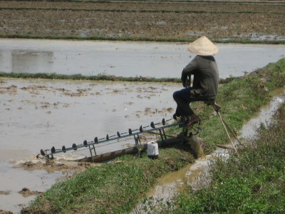 LT-không có _i_n, ng__i làm thay máy...