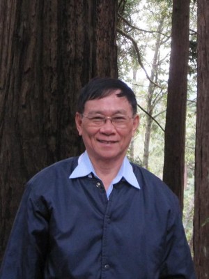 Nguyen Hue Chi